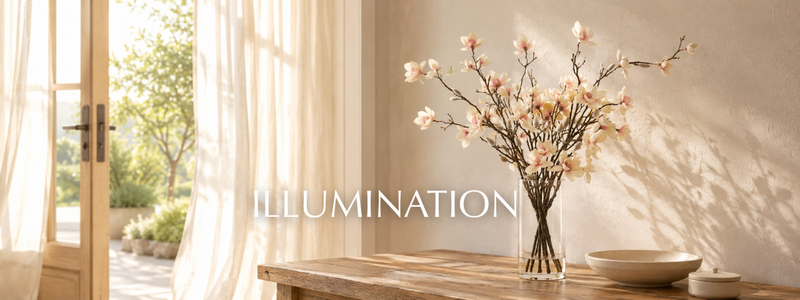 ILLUMINATION - WENDY KLEINER
