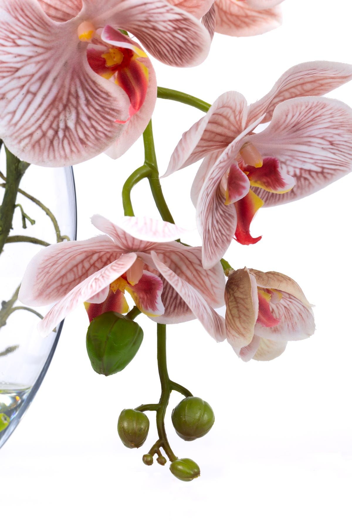 Energy-Aligned Floral Arrangement - Imagination & Inspiration