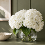 CALM ELEGANCE
