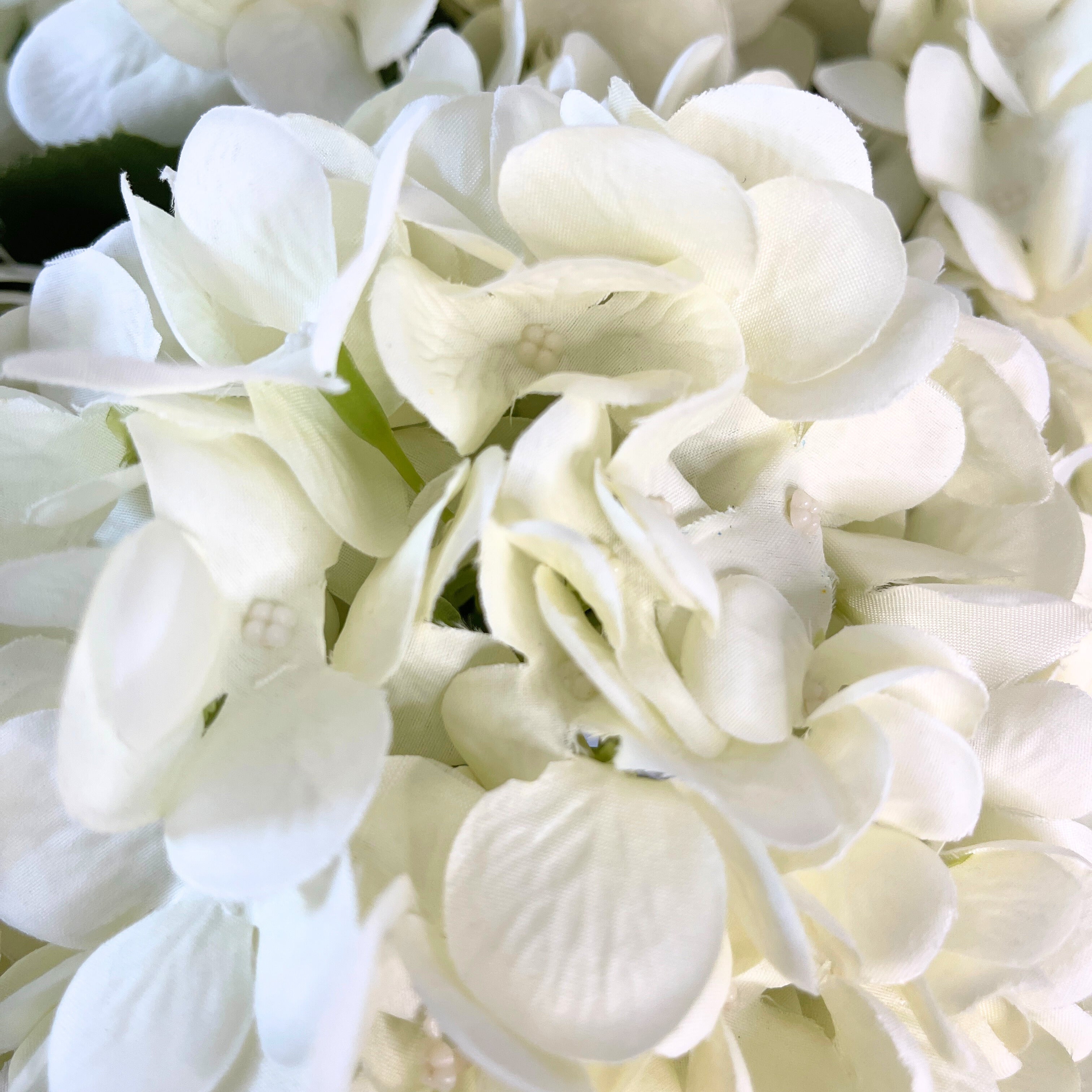 Energy-Aligned Floral Arrangement - Peace & Renewal