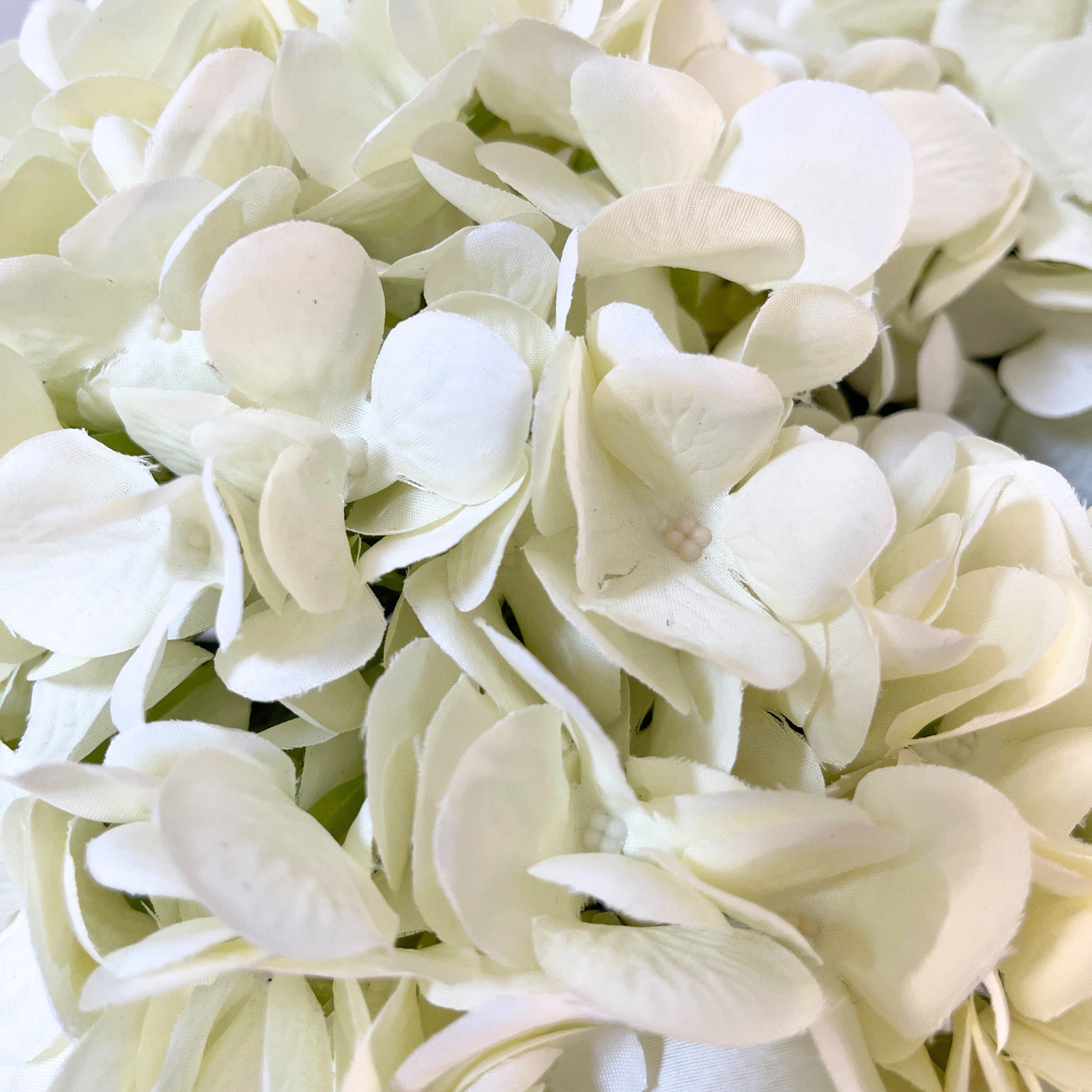 Energy-Aligned Floral Arrangement - Peace & Renewal