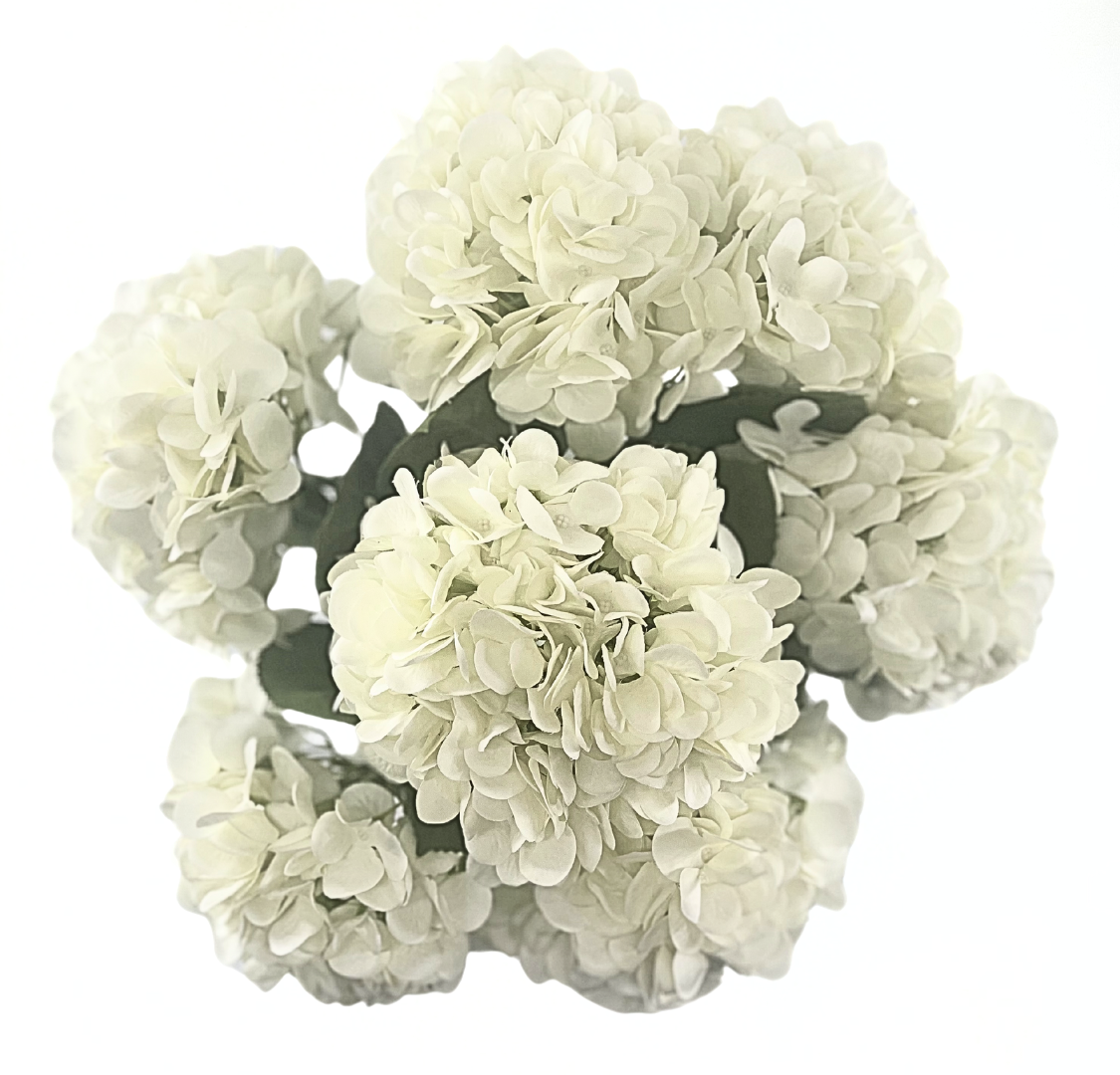 Energy-Aligned Floral Arrangement - Peace & Renewal