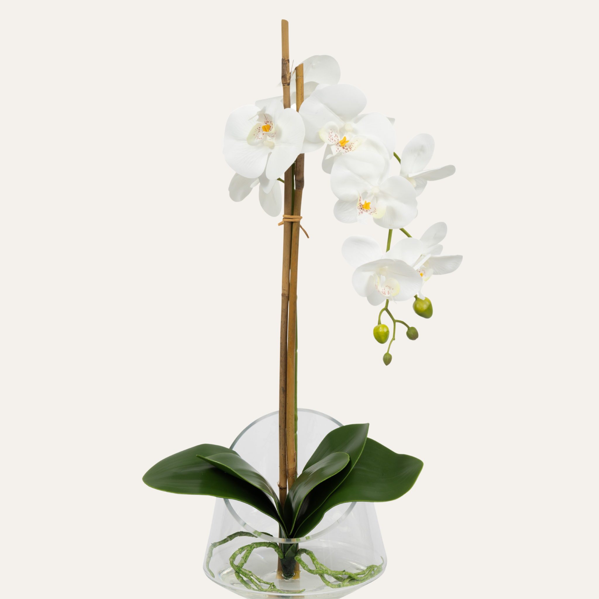 Energy-Aligned Floral Arrangement - Spiritual Clarity & Positivity