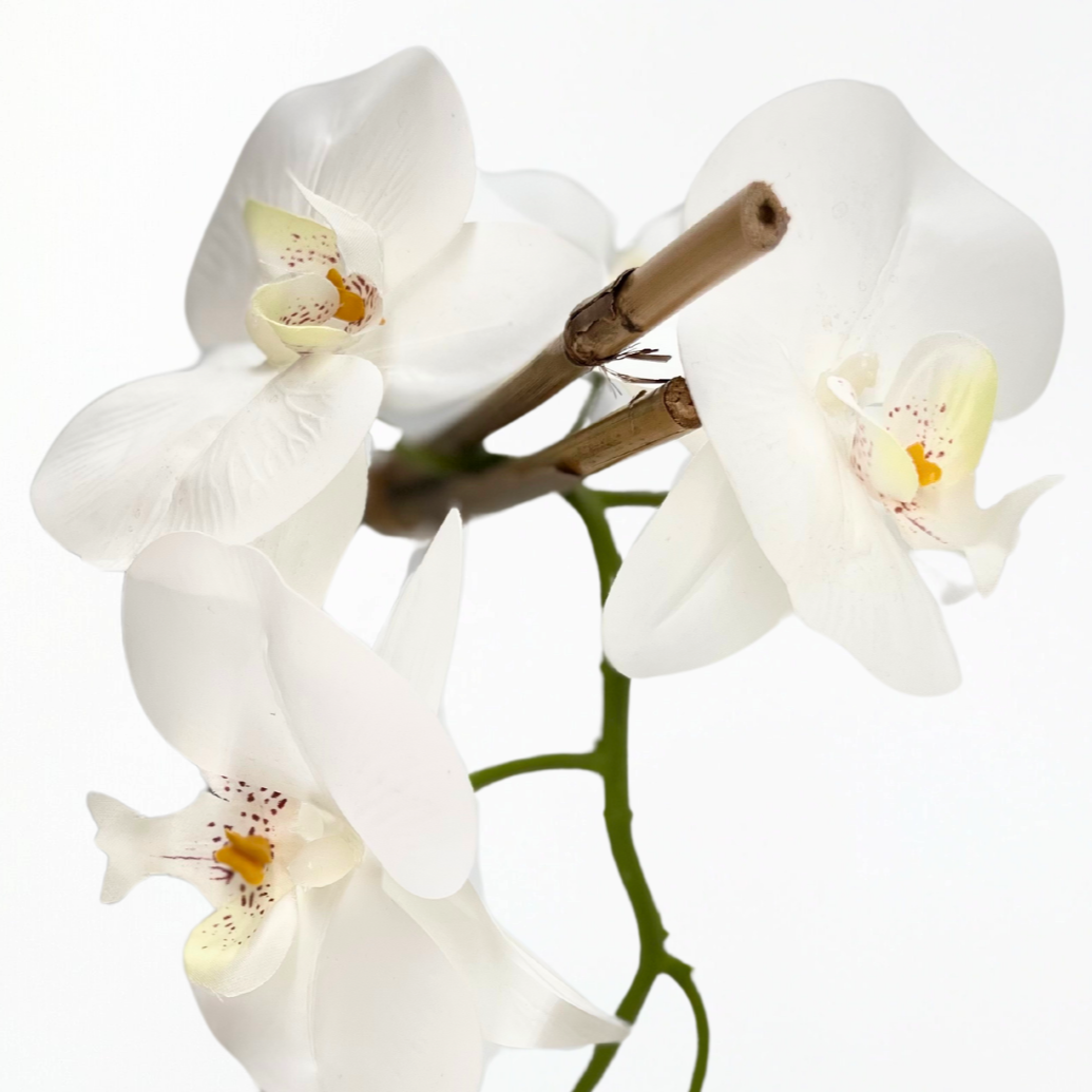 Energy-Aligned Floral Arrangement - Spiritual Clarity & Positivity