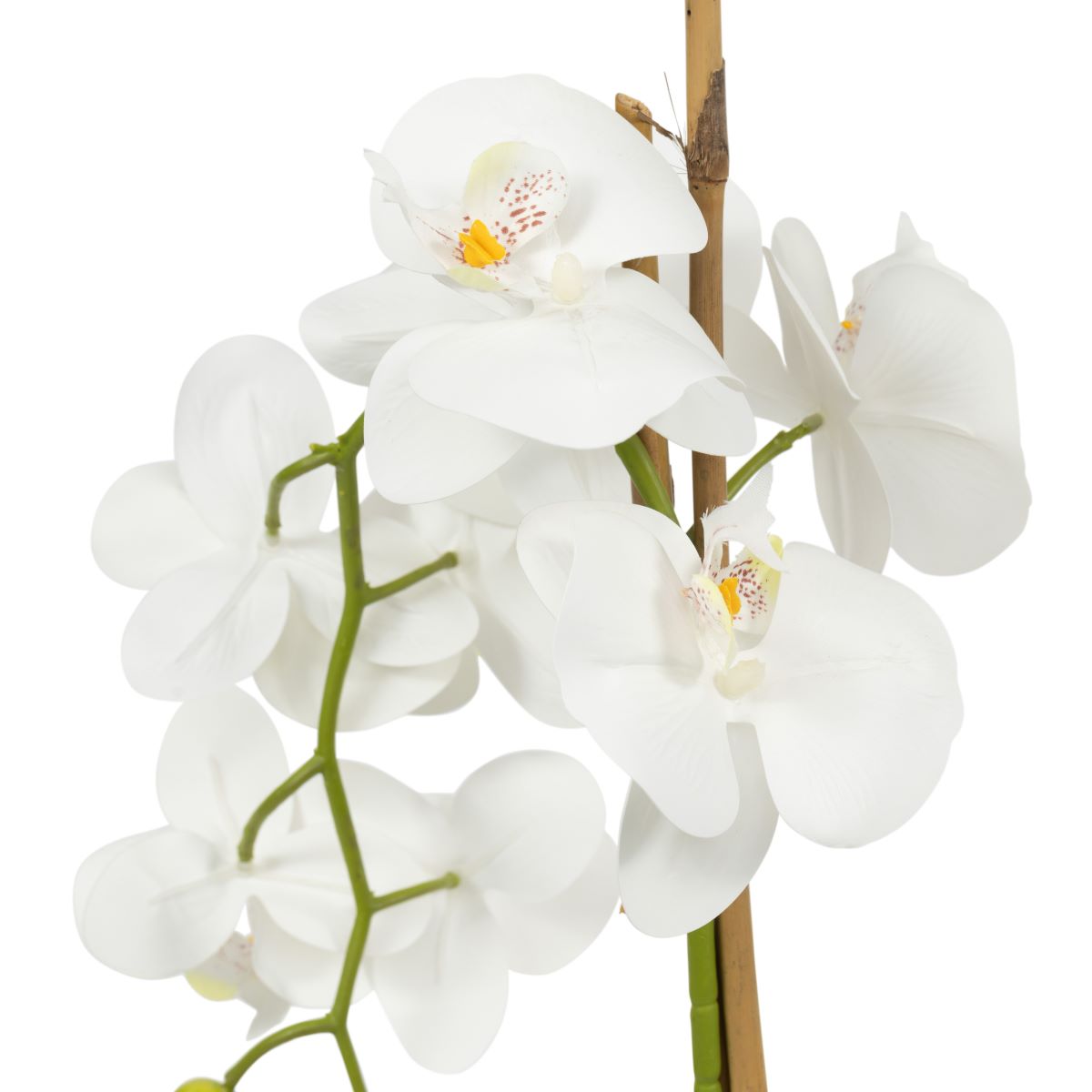 Energy-Aligned Floral Arrangement - Spiritual Clarity & Positivity