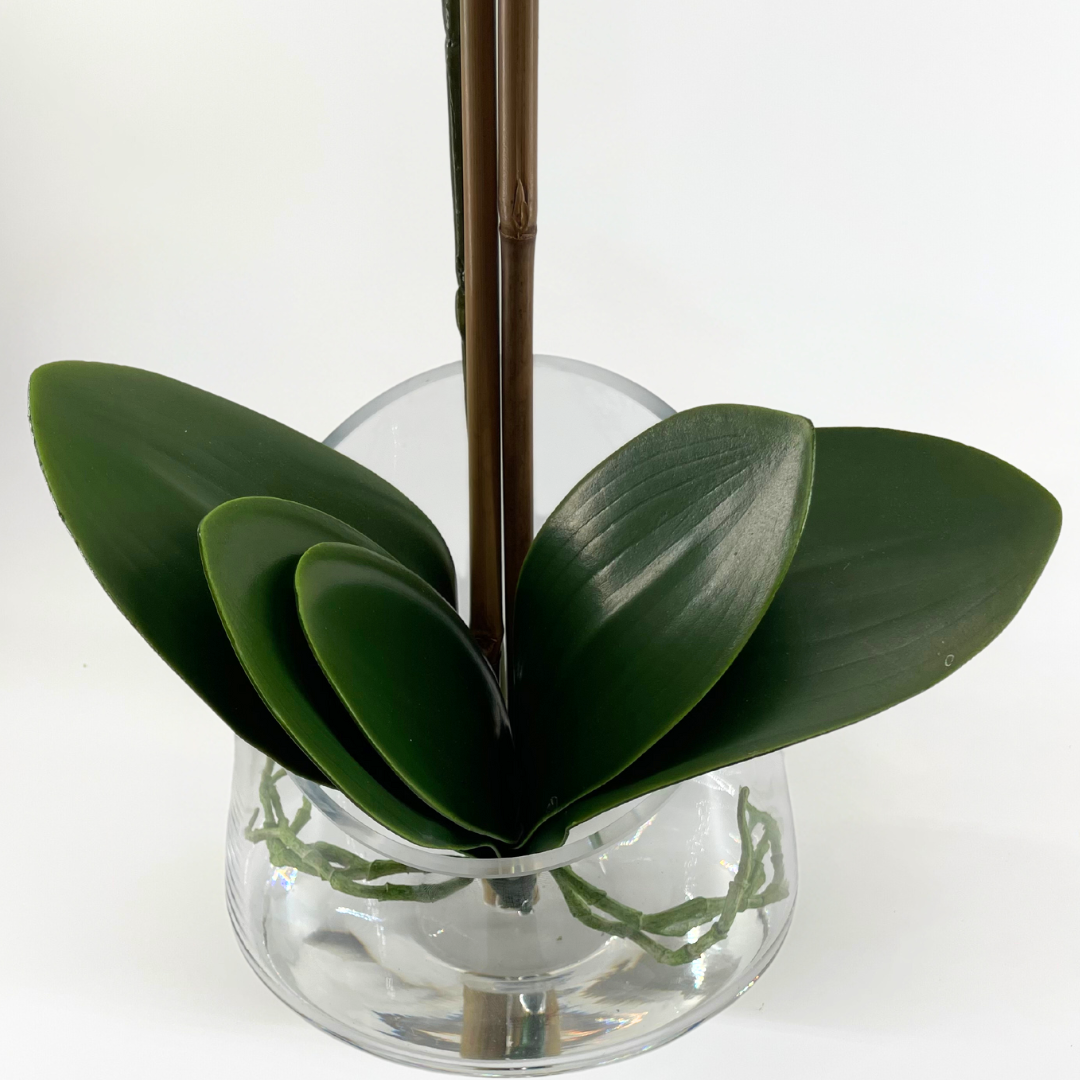 Energy-Aligned Floral Arrangement - Spiritual Clarity & Positivity