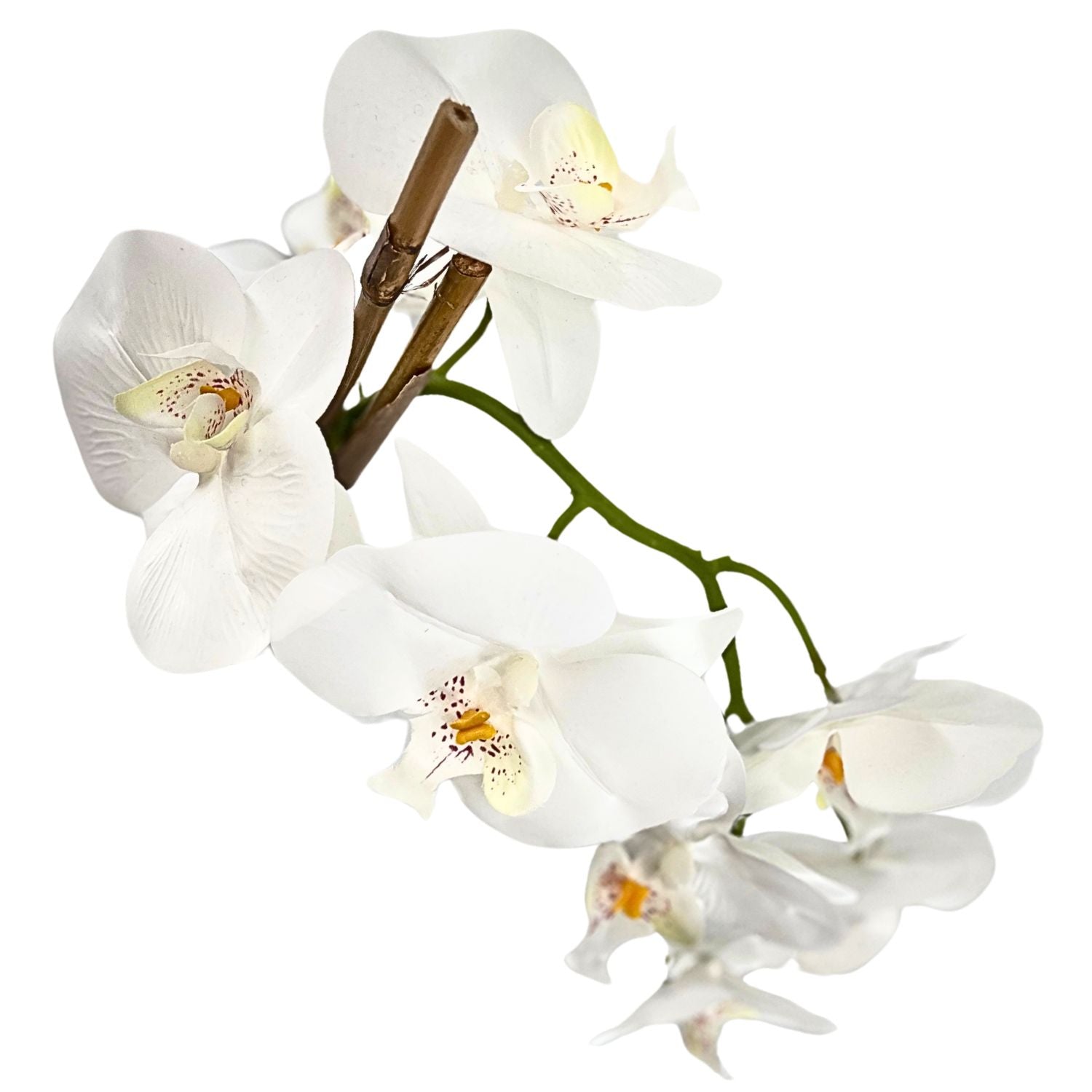 Energy-Aligned Floral Arrangement - Spiritual Clarity & Positivity