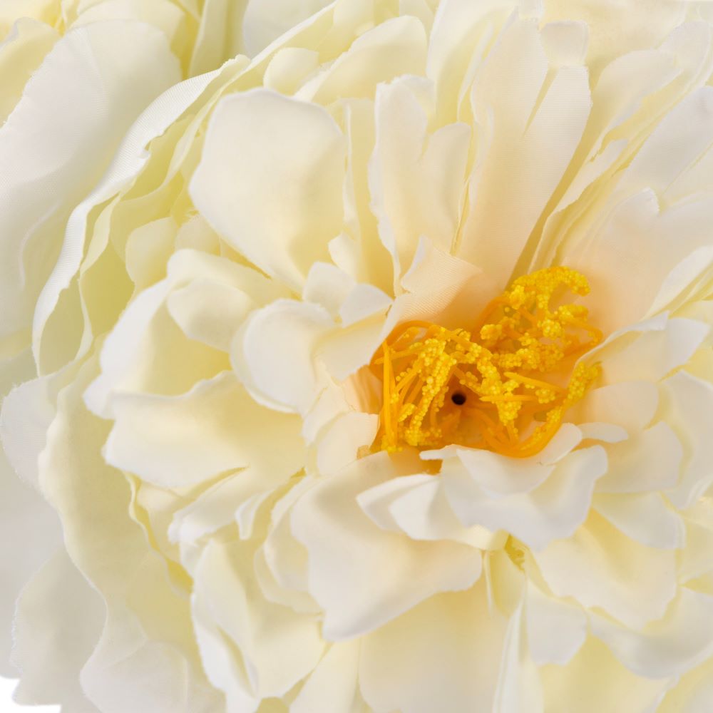 Energy-Aligned Floral Arrangement - New Beginnings & Gratitude