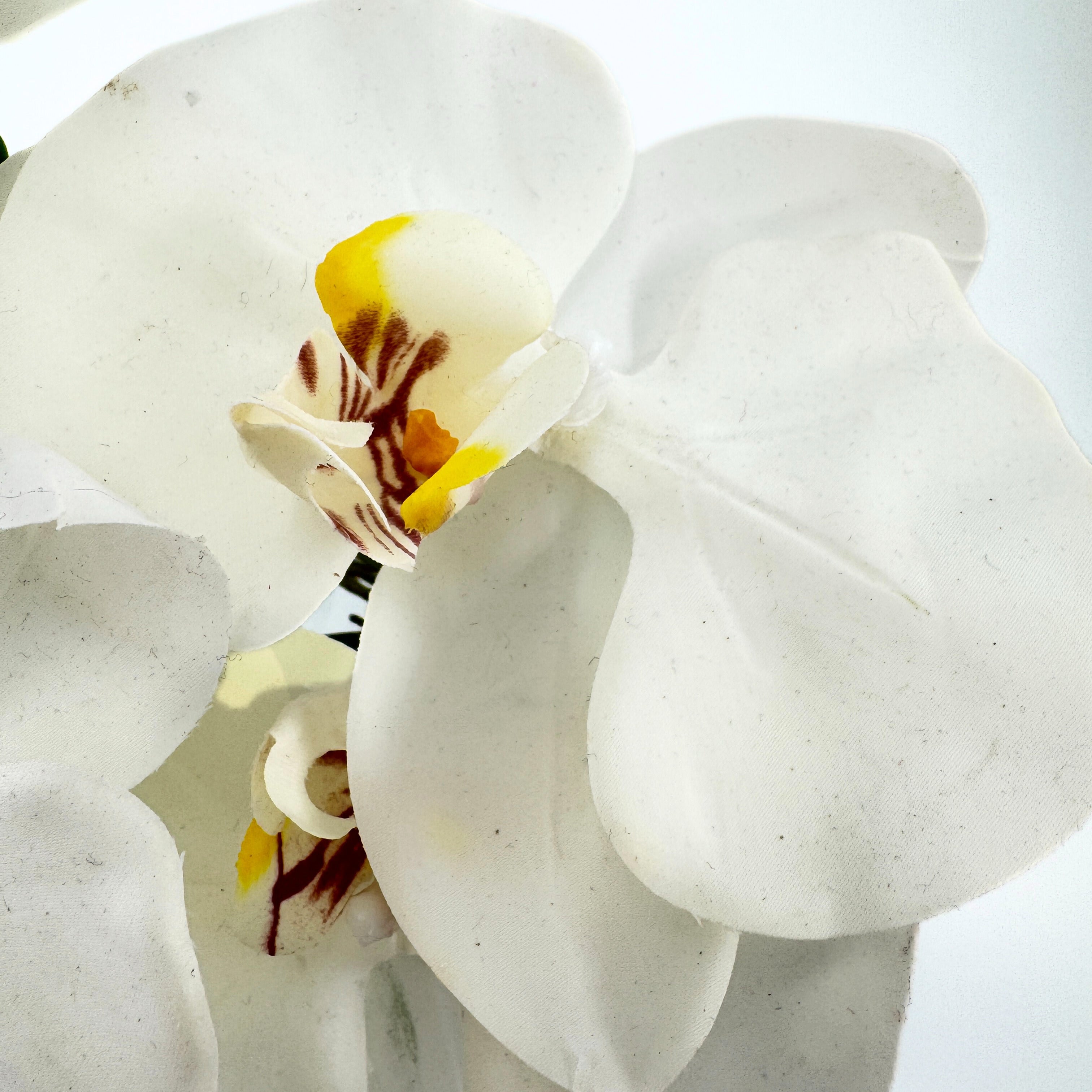 Energy-Aligned Floral Arrangement - Sacred Beauty & Grace