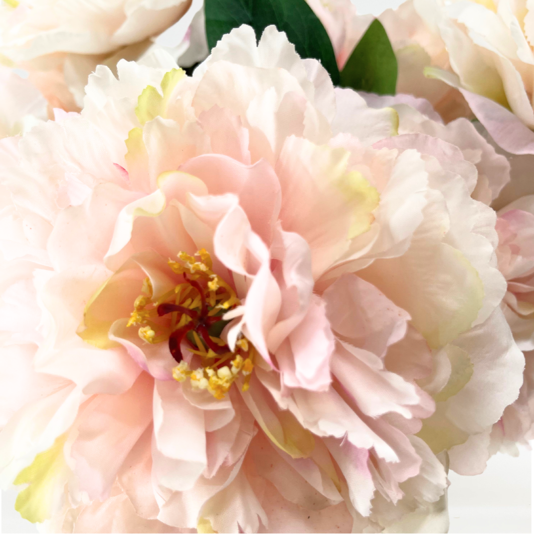 Energy-Aligned Floral Arrangement - Tenderness & Grace