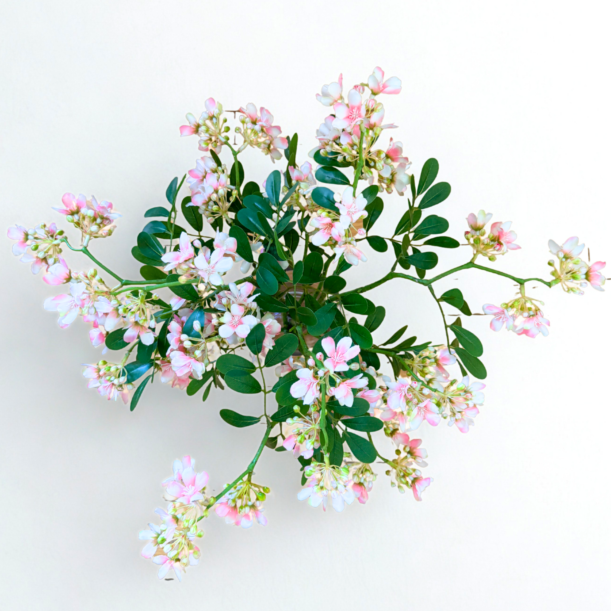 PRETTY IN BLOOM