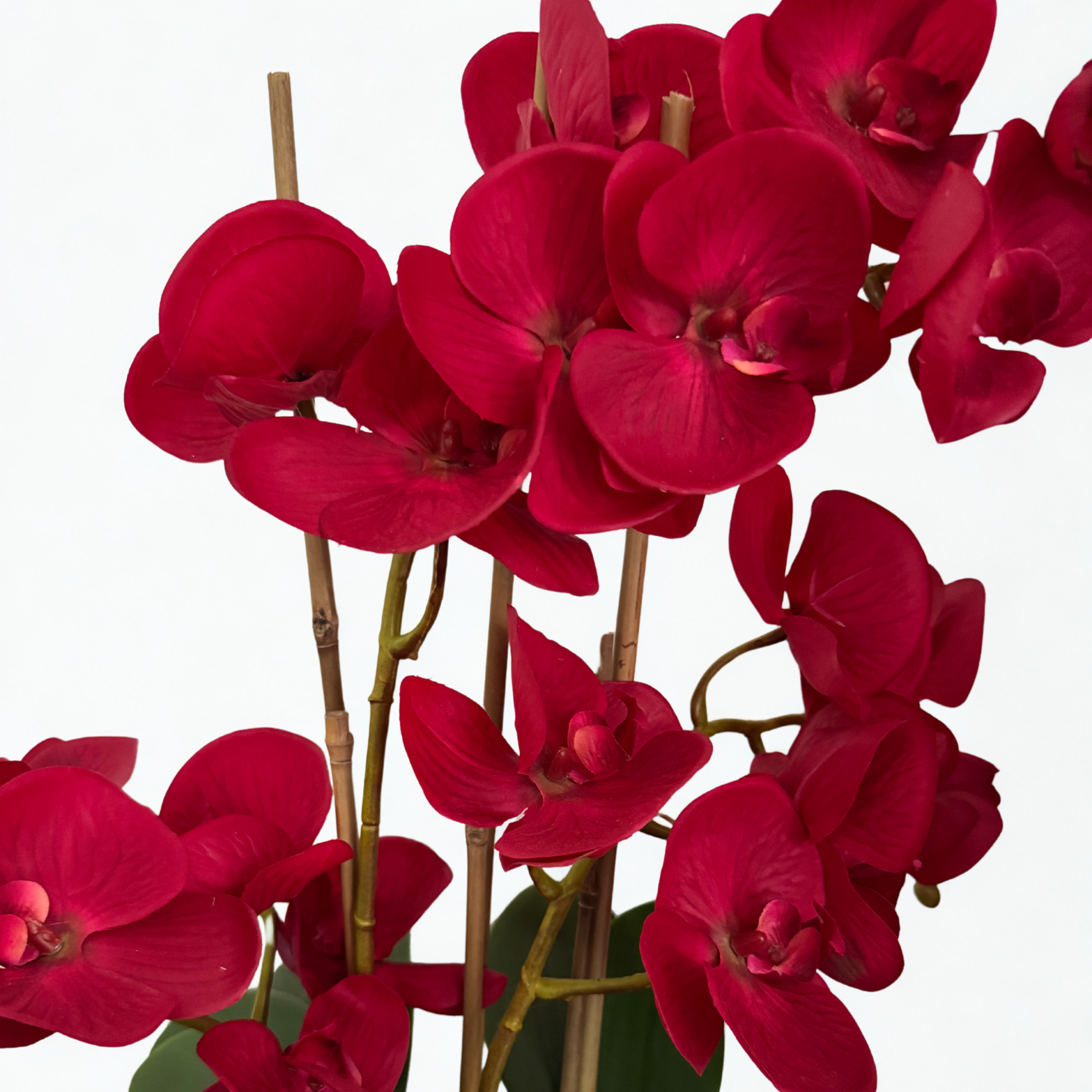 Energy-Aligned Floral Arrangement - Passion & Purpose