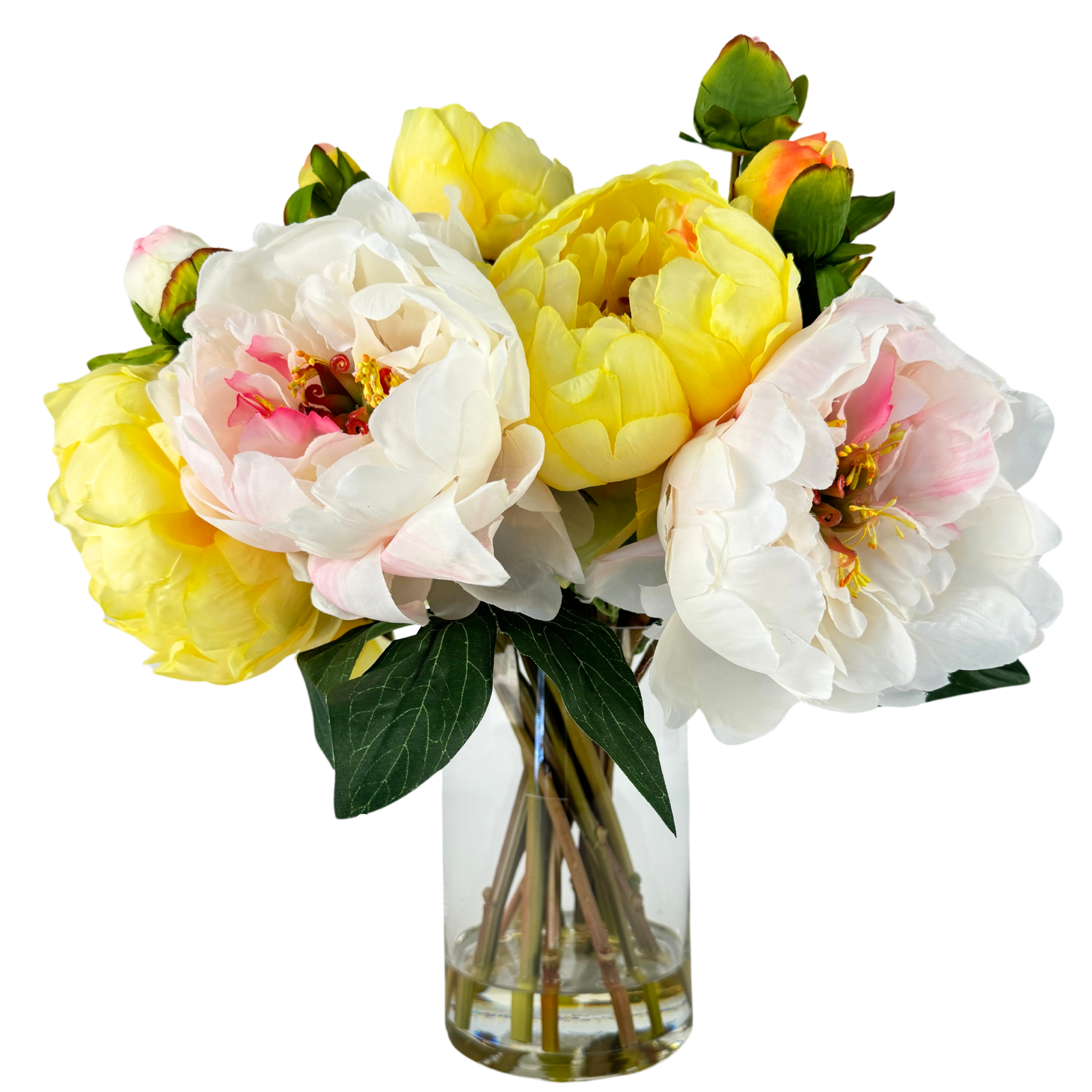 SPRING INTO SPRING