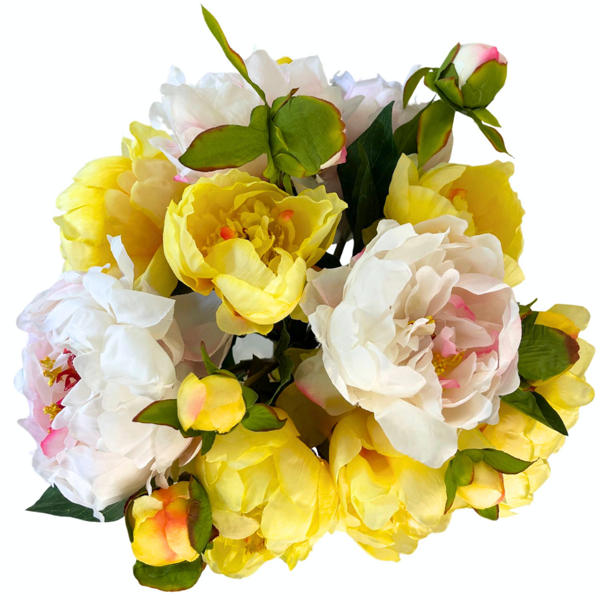 SPRING INTO SPRING