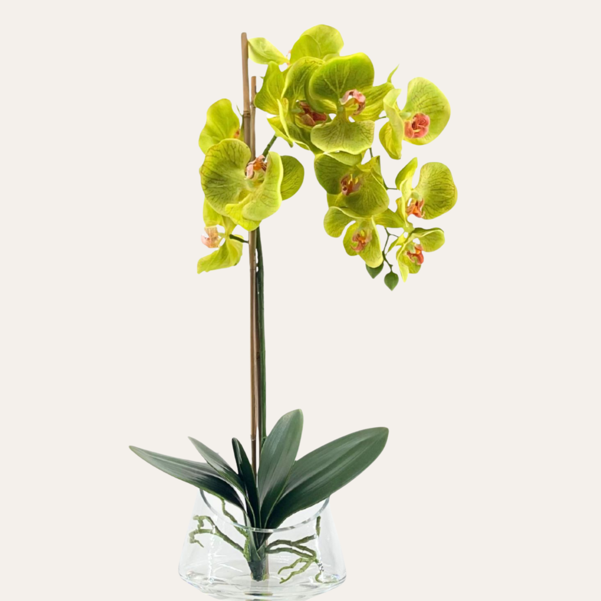 Energy-Aligned Floral Arrangement - Prosperity & Blessings