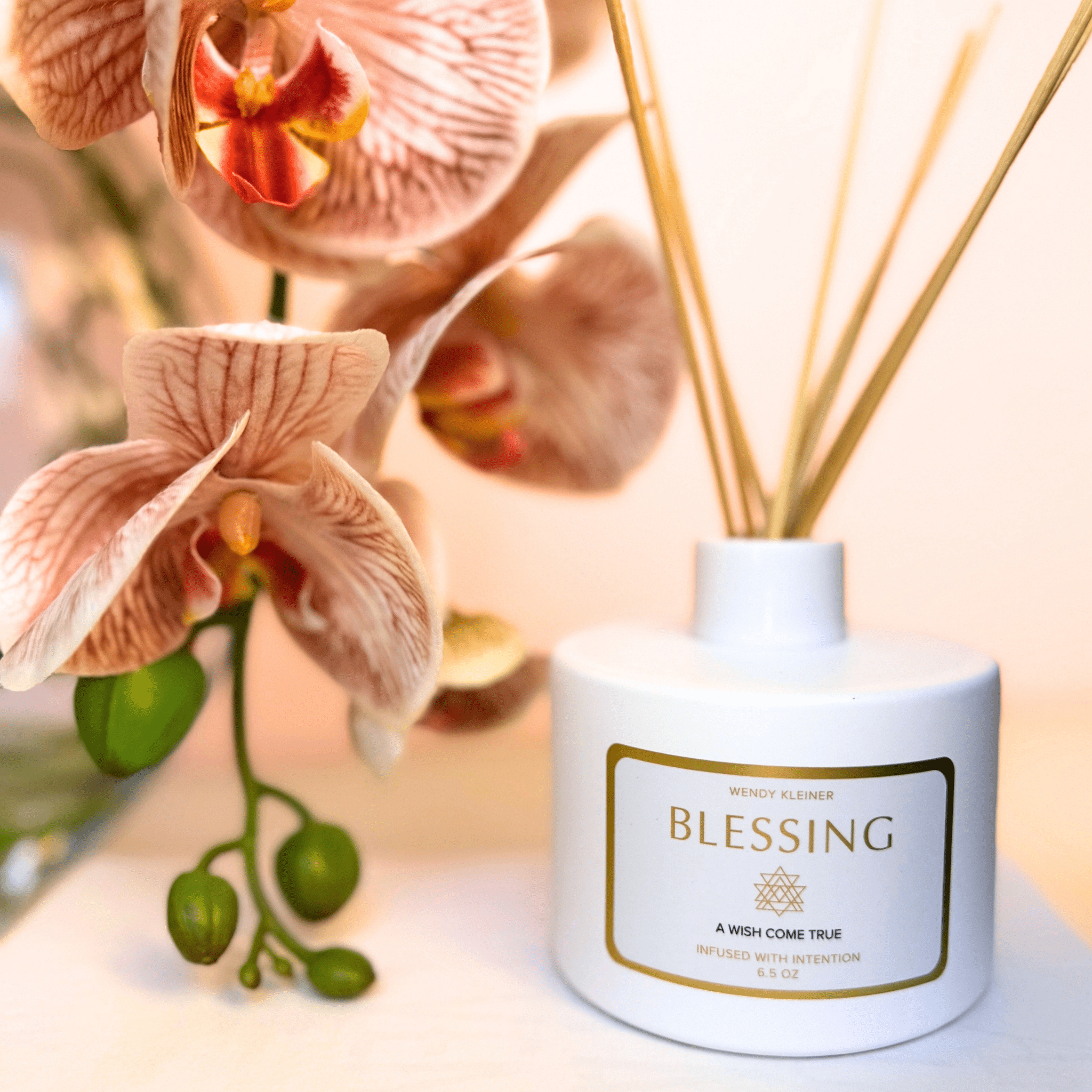 BLESSING INTENTION DIFFUSER - WENDY KLEINERWENDY KLEINER