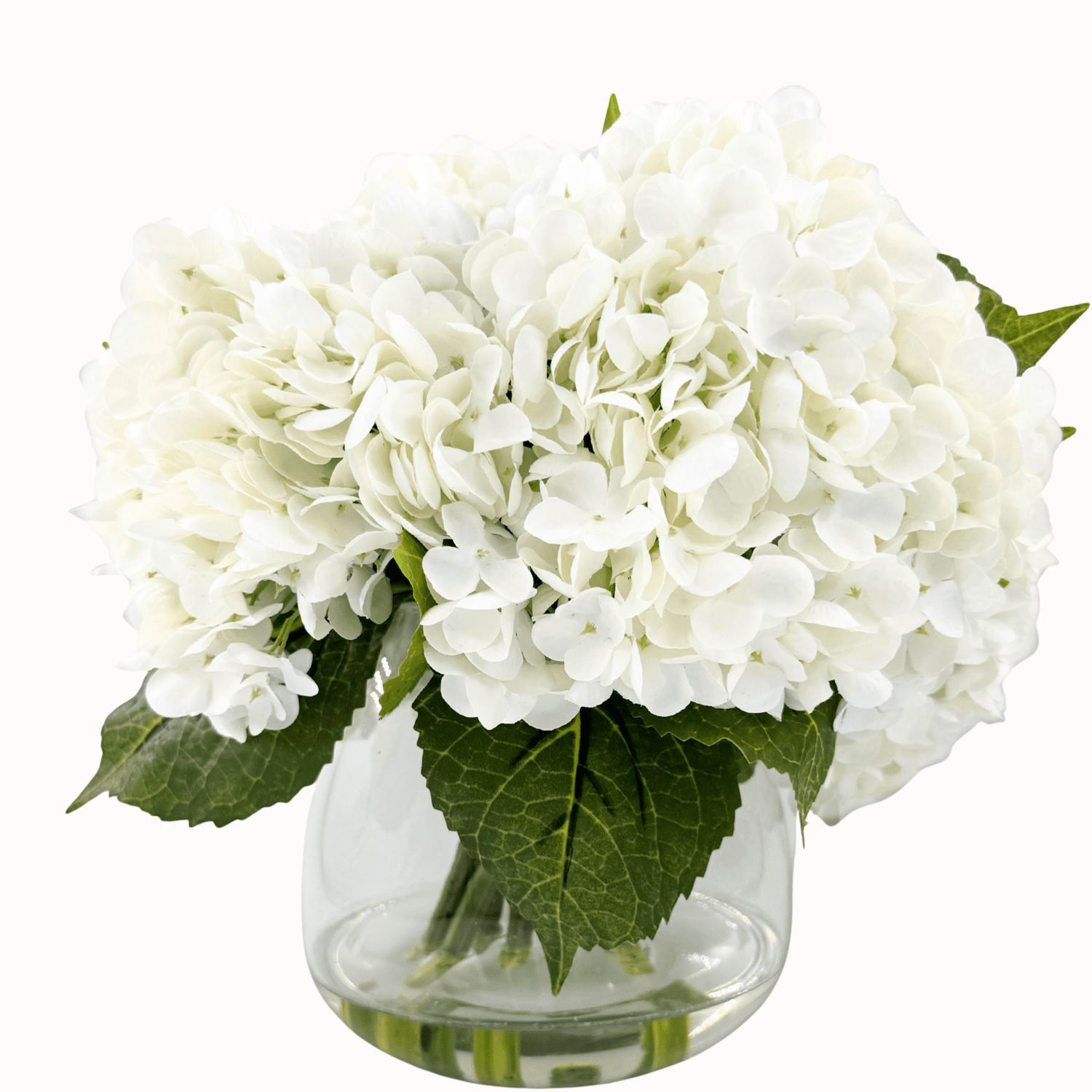 CALM ELEGANCE - WENDY KLEINERWENDY KLEINER