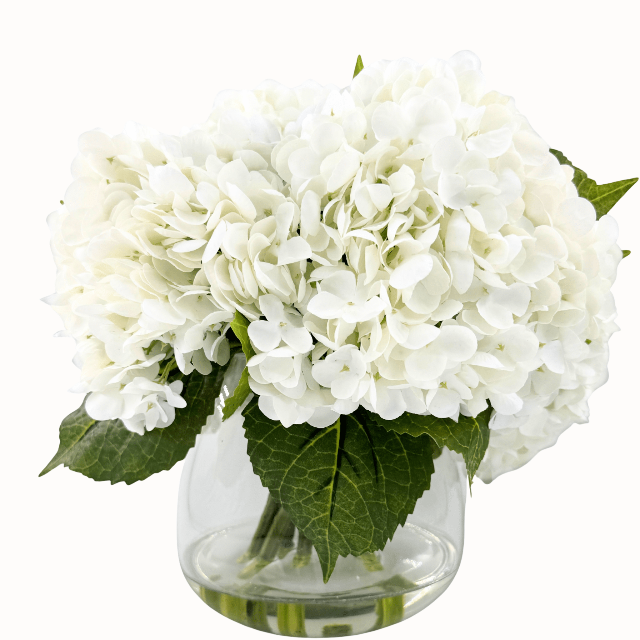 CALM ELEGANCE - WENDY KLEINERWENDY KLEINER