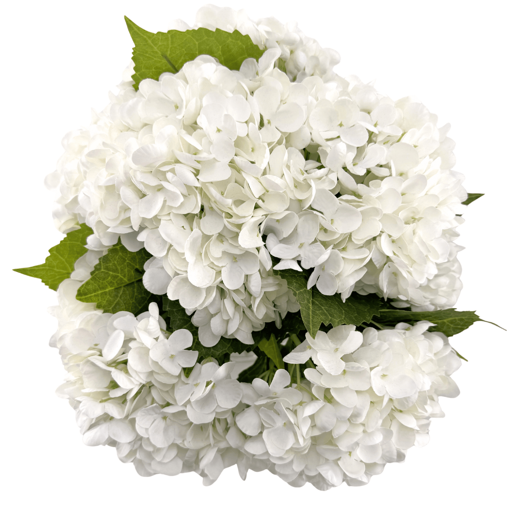 CALM ELEGANCE - WENDY KLEINERWENDY KLEINER