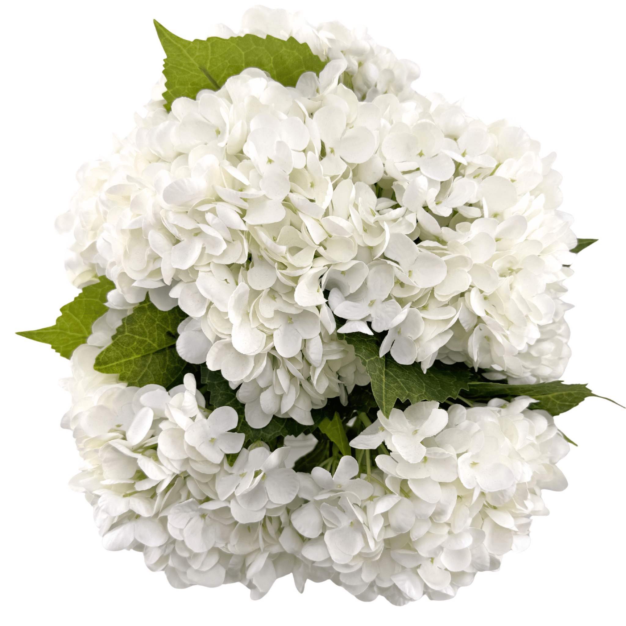 CALM ELEGANCE - WENDY KLEINERWENDY KLEINER