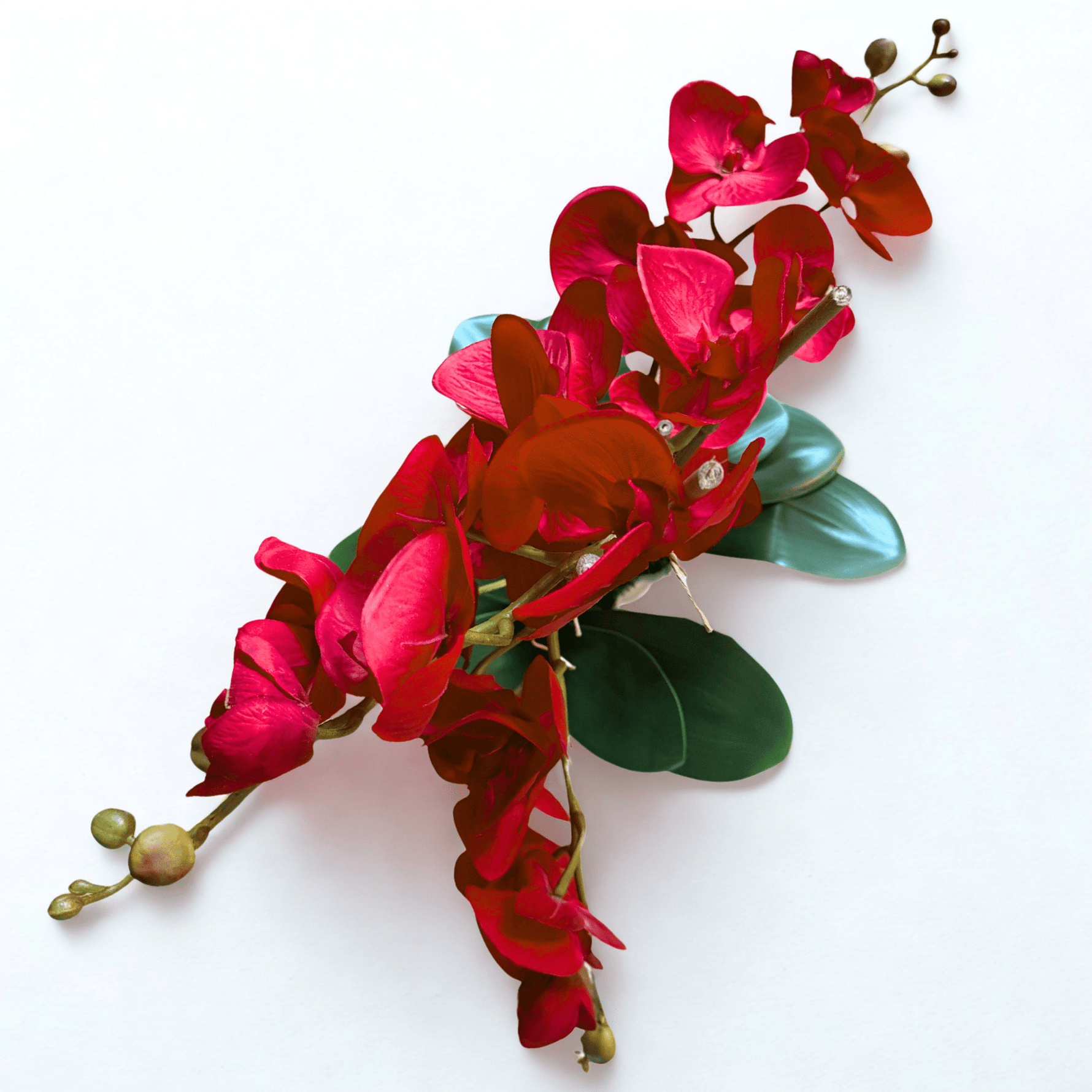 RED INTENTION - WENDY KLEINERWENDY KLEINER