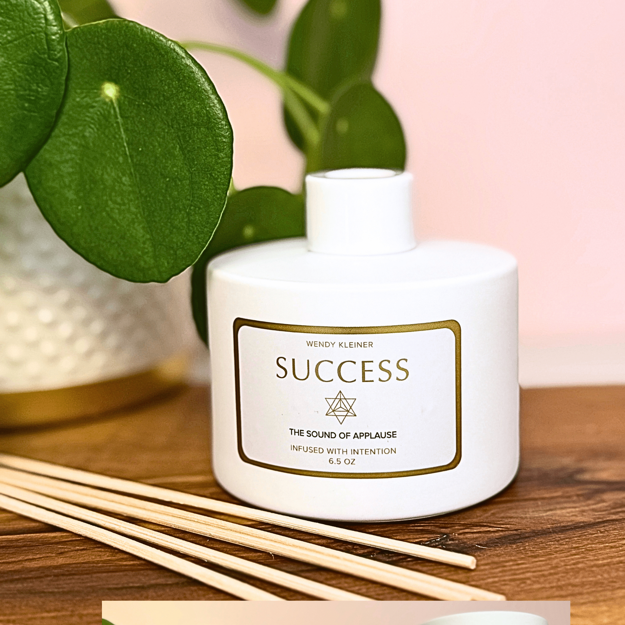 SUCCESS INTENTION DIFFUSER - WENDY KLEINERWENDY KLEINER