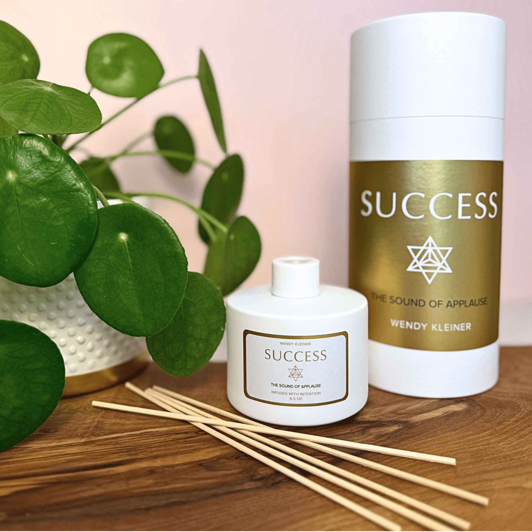 SUCCESS INTENTION DIFFUSER - WENDY KLEINERWENDY KLEINER